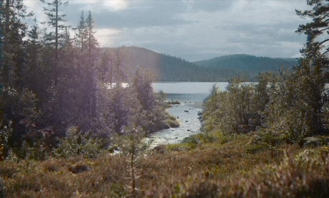 Elv i skog renner ut i innsjø. Foto