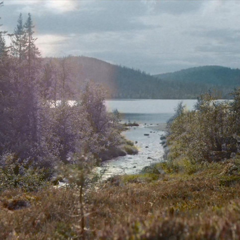 Elv i skog renner ut i innsjø. Foto